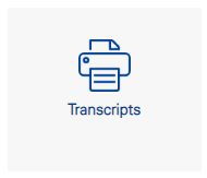 Icon Transcripts