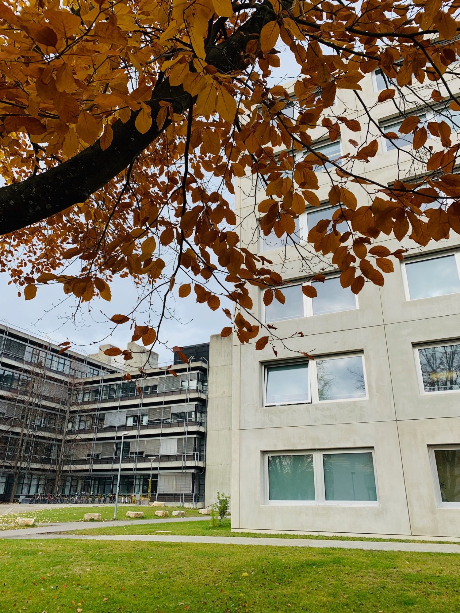 Haus der Studierenden und Pfaffenwaldring 7 auf dem Campus Vaihingen.